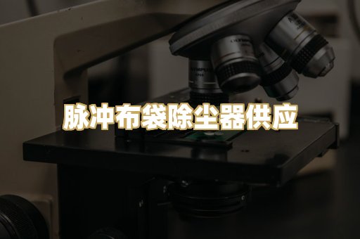 脉冲布袋除尘器供应
